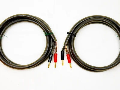 Ensemble ENSAMBLE CABLE HOTLINE L+R 1 MT