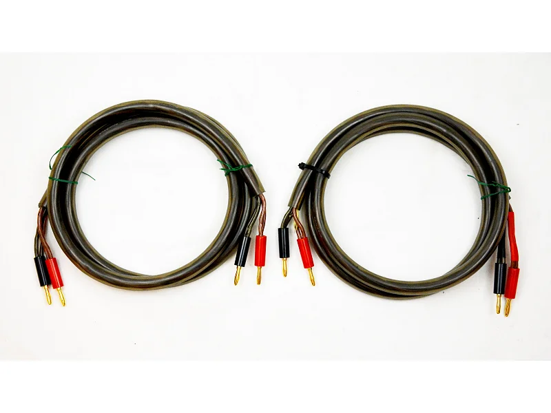 Ensemble ENSAMBLE CABLE HOTLINE L+R 1 MT