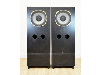 Estro Armonico ESTRO ARMONICO TANNOY SRMX 12