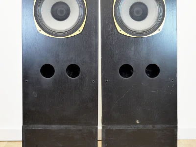 Estro Armonico ESTRO ARMONICO TANNOY SRMX 12