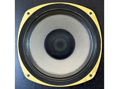 ESTRO ARMONICO TANNOY SRMX 12 ESTRO ARMONICO TANNOY SRMX 12