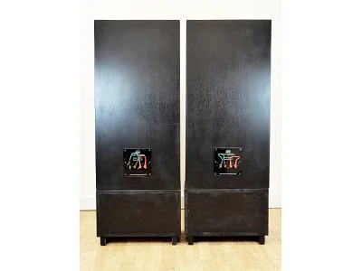 ESTRO ARMONICO TANNOY SRMX 12 ESTRO ARMONICO TANNOY SRMX 12