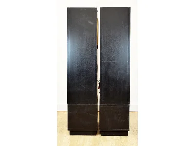 ESTRO ARMONICO TANNOY SRMX 12 ESTRO ARMONICO TANNOY SRMX 12