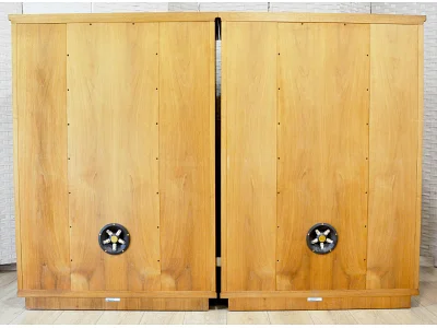 TANNOY WESTMINSTER ROYAL SE TANNOY WESTMINSTER ROYAL SE