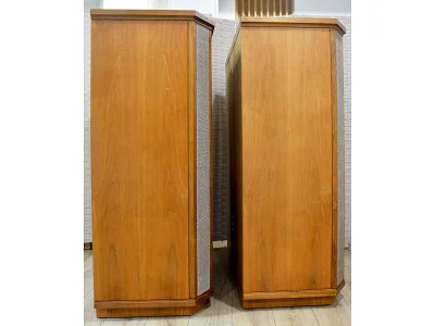 TANNOY WESTMINSTER ROYAL SE TANNOY WESTMINSTER ROYAL SE