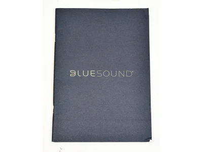 BLUESOUND NODE X BLUESOUND NODE X