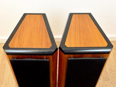 TANNOY D500