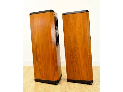 TANNOY D500
