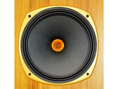 TANNOY YORKMINSTER SE