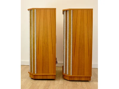TANNOY YORKMINSTER SE
