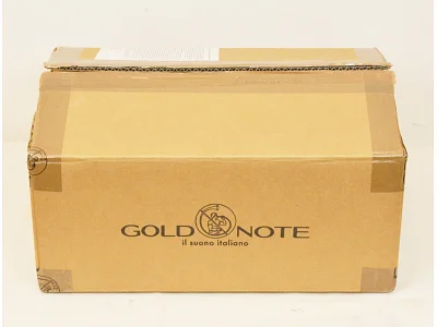 GOLD NOTE DS-10